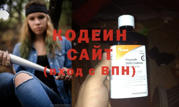 индика Каменск-Шахтинский