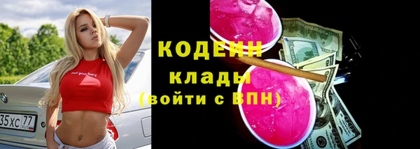 индика Каменск-Шахтинский