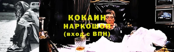 индика Каменск-Шахтинский