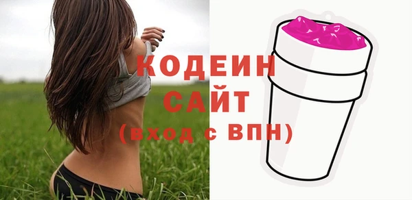 гидра Каменка