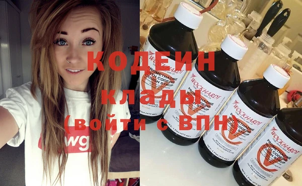 гидра Каменка