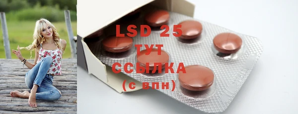 mdpv Каменногорск