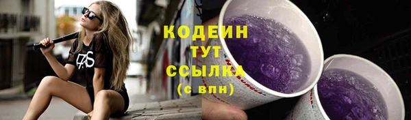 гидра Каменка