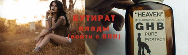 гидра Каменка