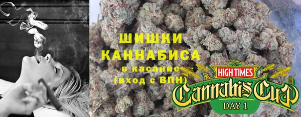 гидра Каменка