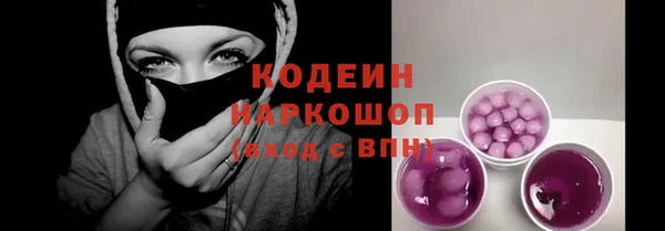 гидра Каменка