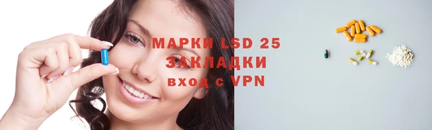 mdpv Каменногорск