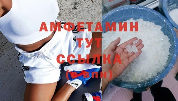 гидра Каменка