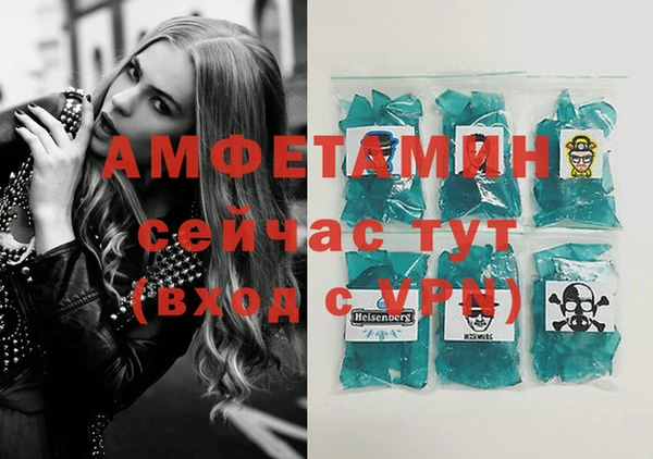 гидра Каменка