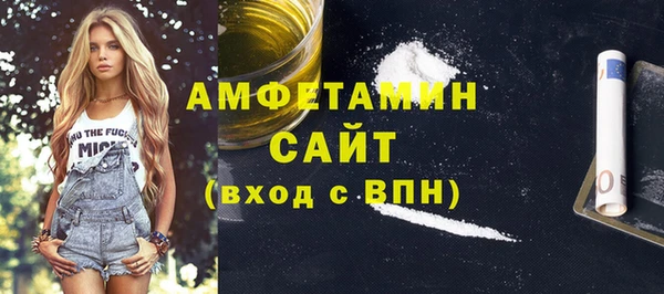 гидра Каменка