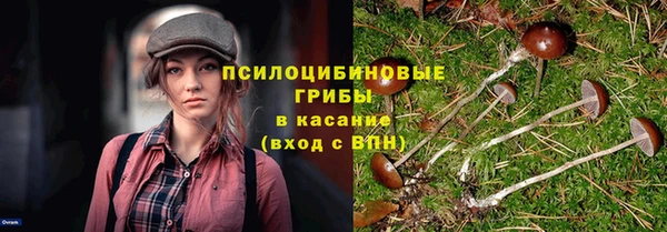 гидра Каменка