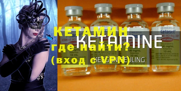 гидра Каменка