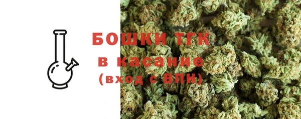 гидра Каменка
