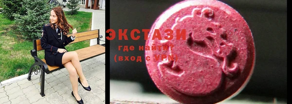 гидра Каменка