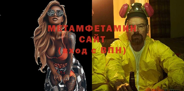 гидра Каменка