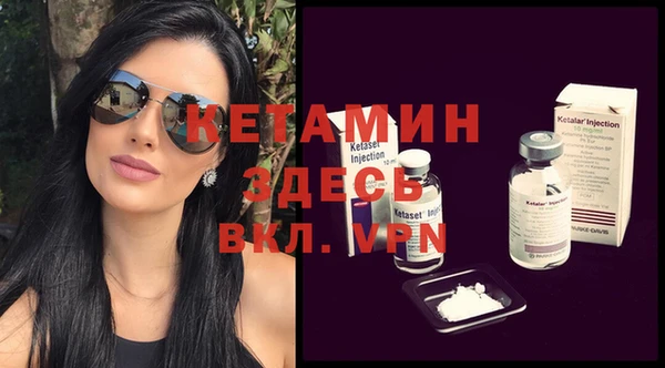 гидра Каменка